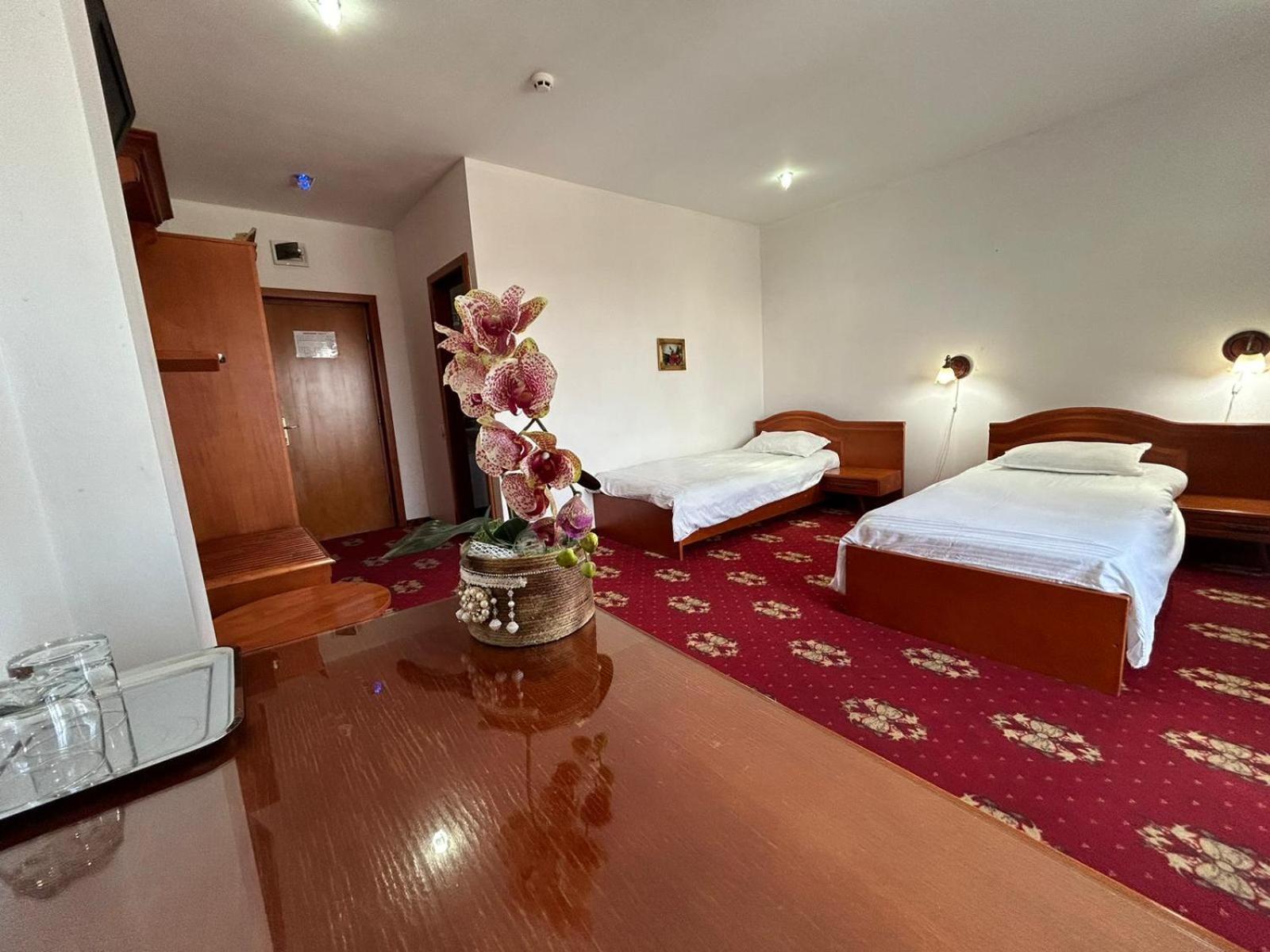 Hotel Coral Satu Mare Dış mekan fotoğraf